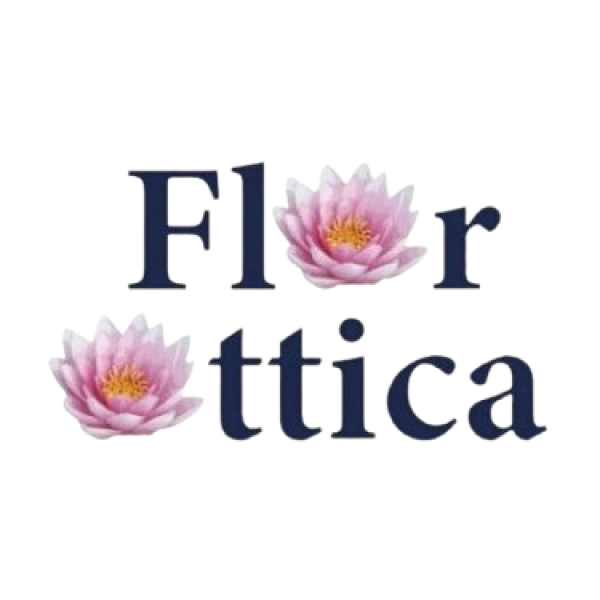 logo-flor-ottica-transparente