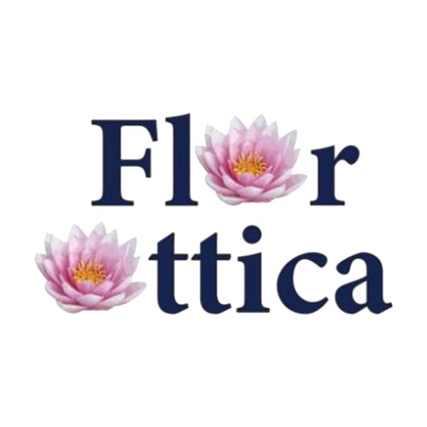 logo-videos-horizontal